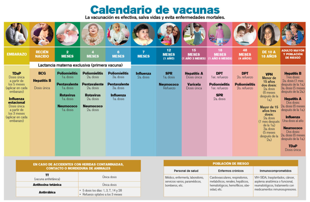 Vacunas Para Todos Durante Toda La Vida Seguridad Social Ahora 8238