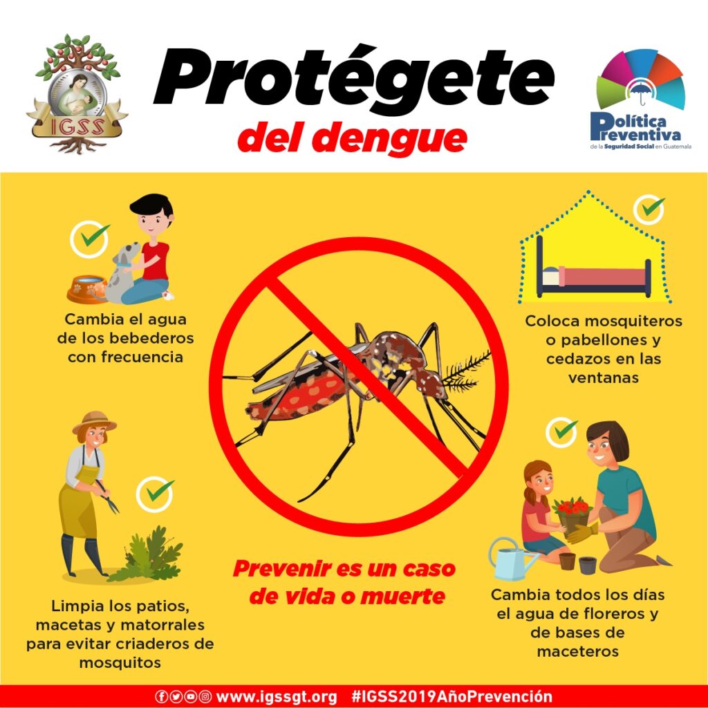 Protégete del dengue - Noticias IGSS