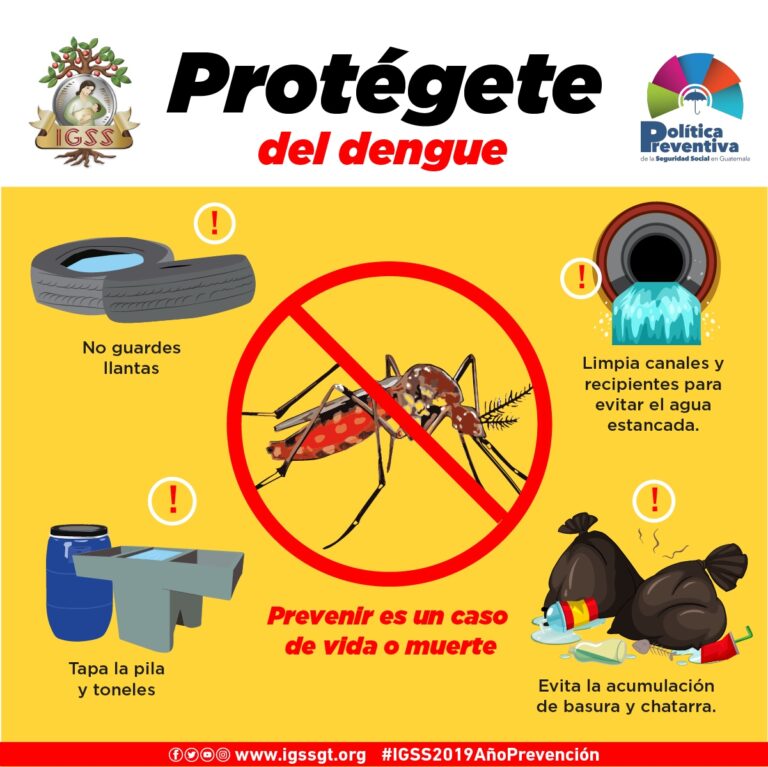 Protégete del dengue Noticias IGSS