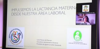 Webinar: beneficios de la lactancia materna 